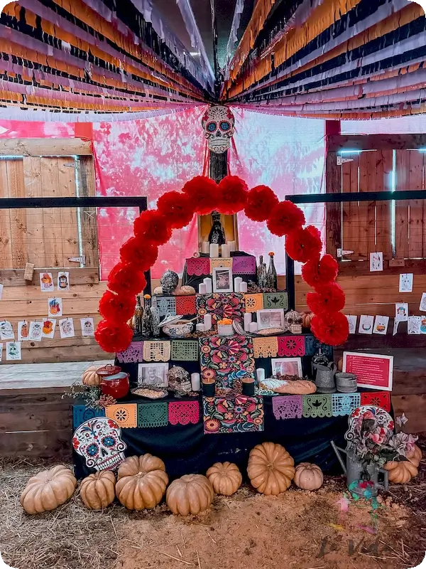 Zona Catrina en Granja Aventura Park