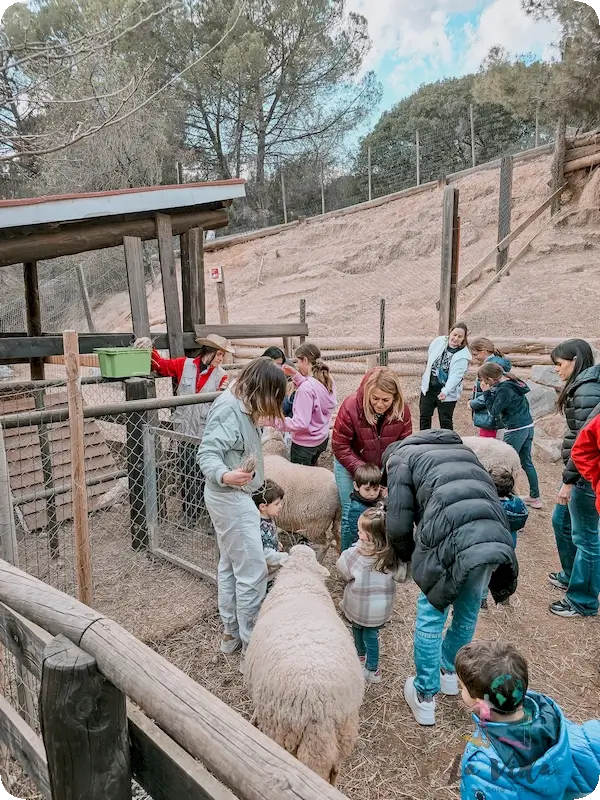 Niños alimentando ovejas en Granja Aventura Park Viladecavalls