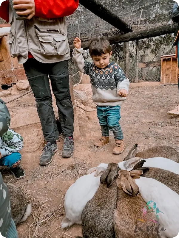eric con los conejos en Granja Aventura Park