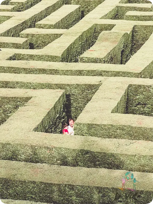 Laberinto de Villapresente vistas desde la torre