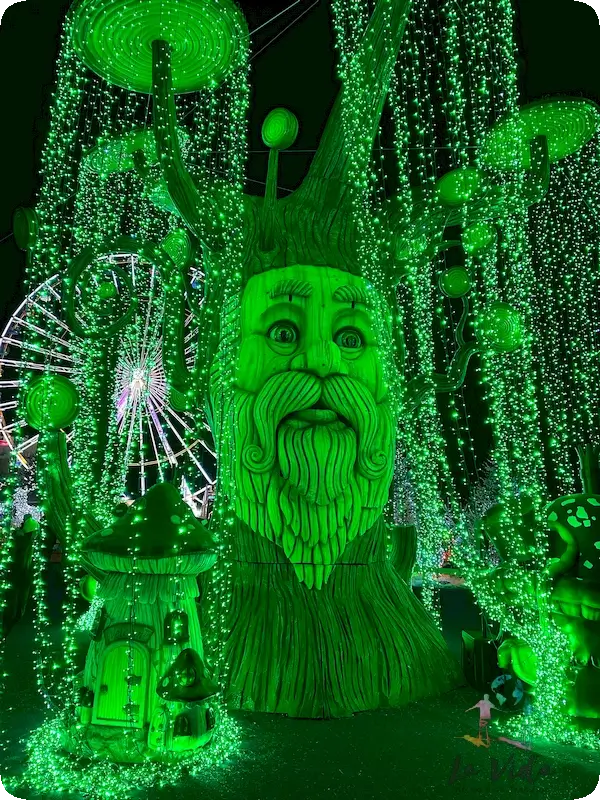 Bosque encantado edición 2024/25 de noche