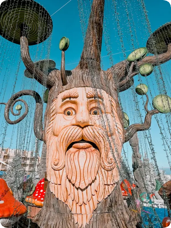 Bosque encantado edición 2024/25