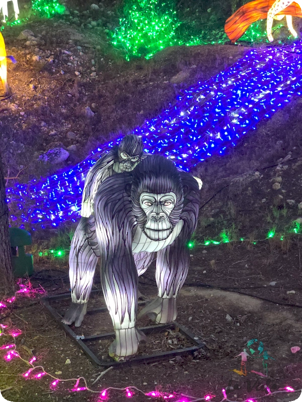 Lumières d'Afrique Sigean