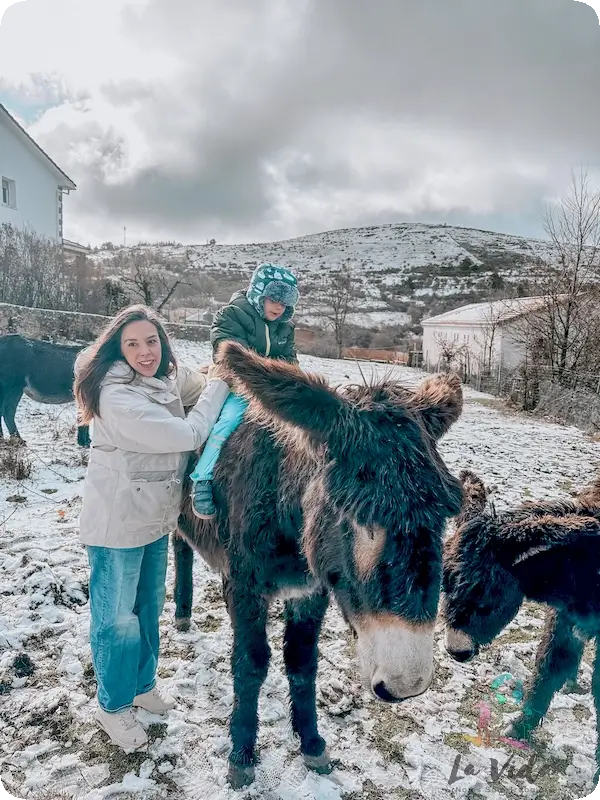 Paseos en burro en Madrid: Nuestra experiencia en familia con A Ritmo de Burro