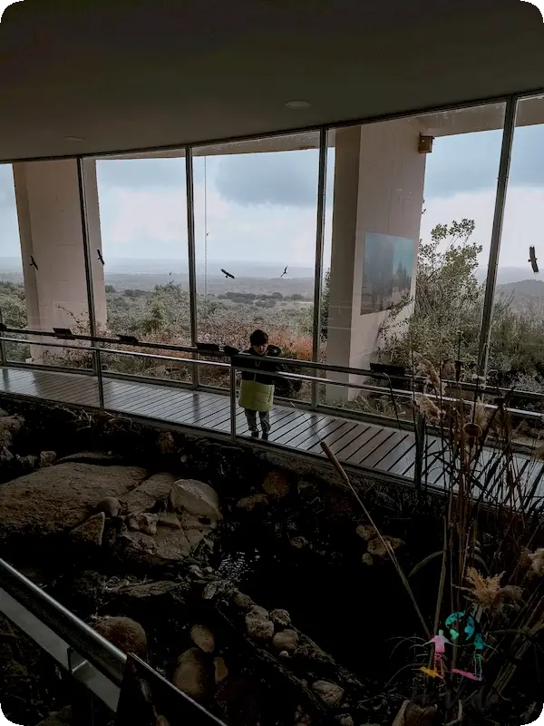 Mirador de cristal interior CEA El Águila