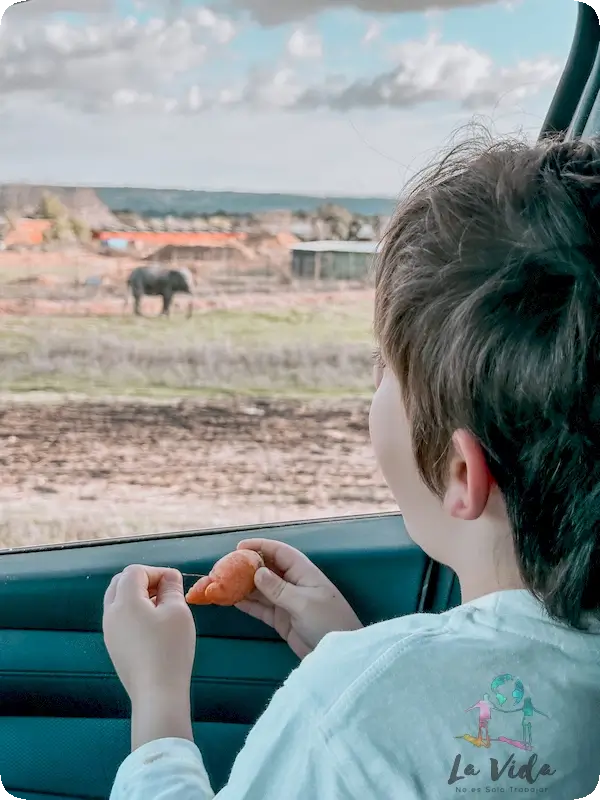 Dónde viajar con niños en 2026: Destinos familiares y seguridad sin imprevistos