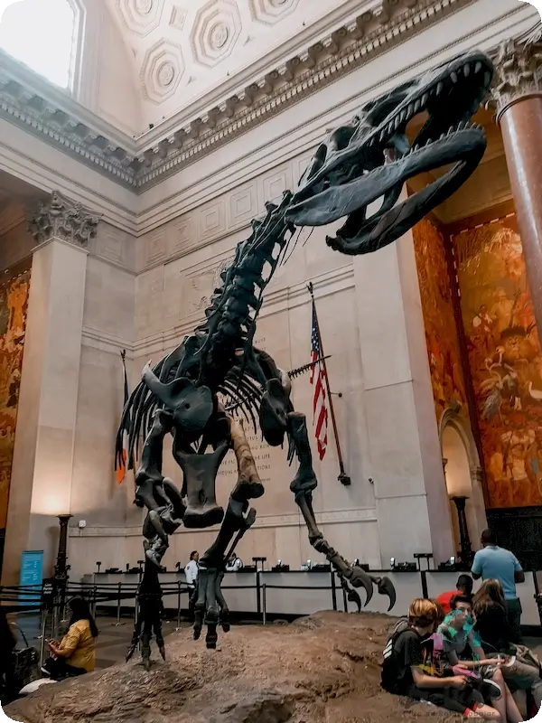 Museo de Historia Natural Nueva York, esqueleto de dinosaurio