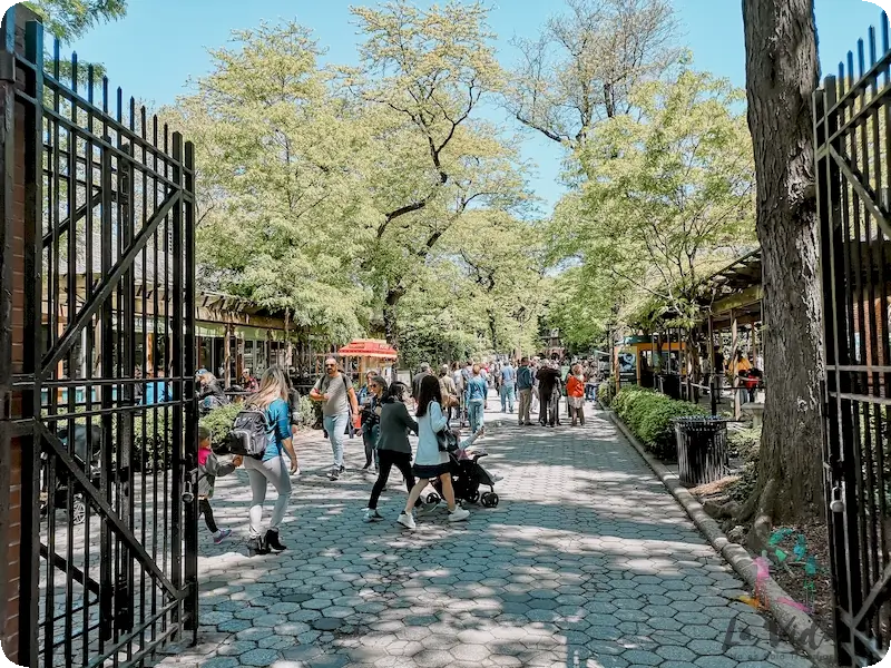 Quinta Avenida Nueva York