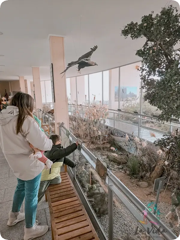 Visita interior Centro de Educación Ambiental El Águila - Chapinería Sierra Oeste de Madrid